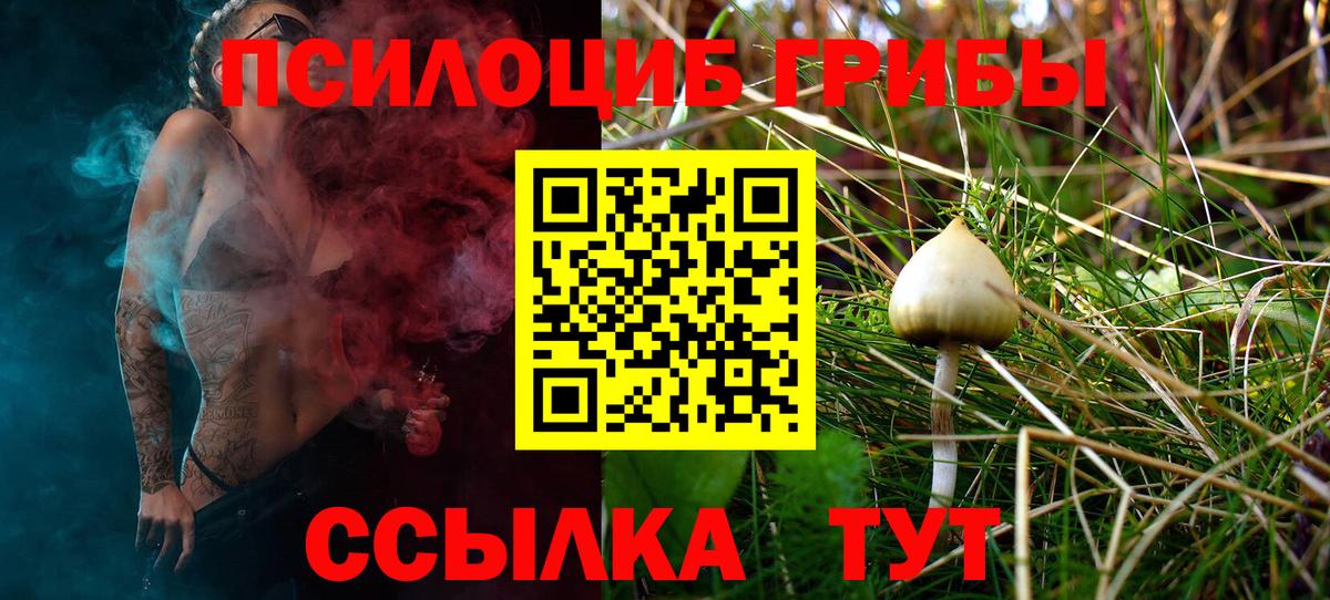 Галлюциногенные грибы ЛСД Черногорск