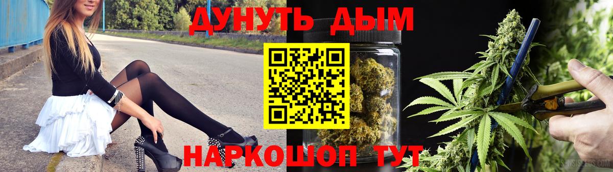 Конопля сатива Черногорск